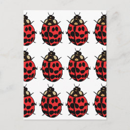 Ladybug Red Black Insect Ladybug Postkarte