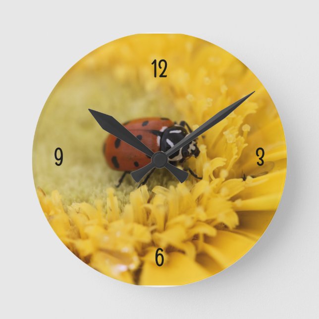 Ladybug Runde Wanduhr (Vorderseite)