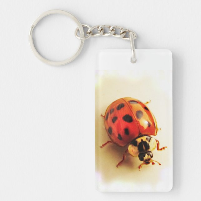 Ladybug Schlüsselanhänger (Vorderseite)