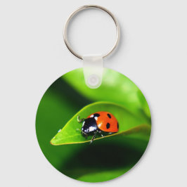 Ladybug Schlüsselanhänger