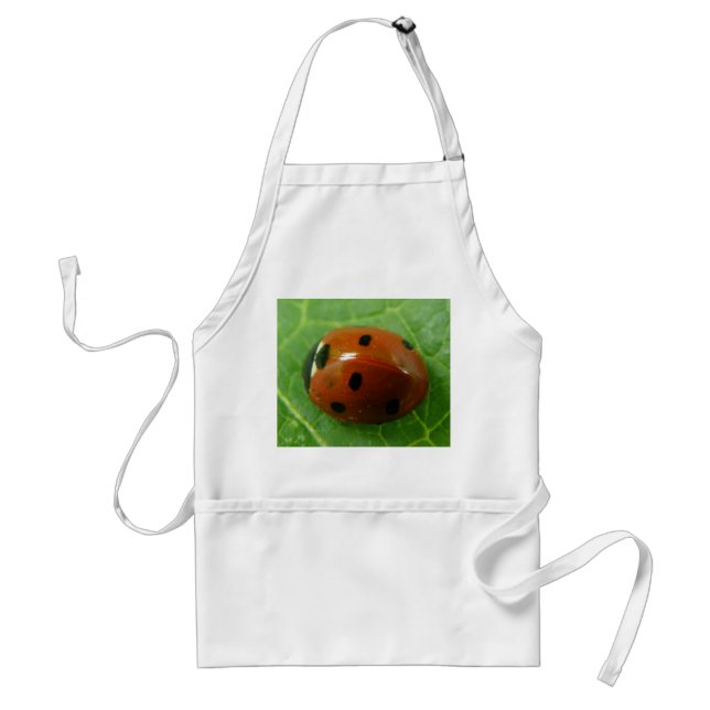 Ladybug-Schürze Schürze (Vorne)