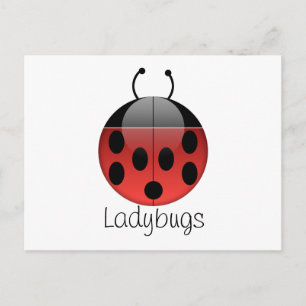 Ladybug Serie 2 Postkarte