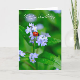 Ladybug sur la carte d'anniversaire de Forget-me-n