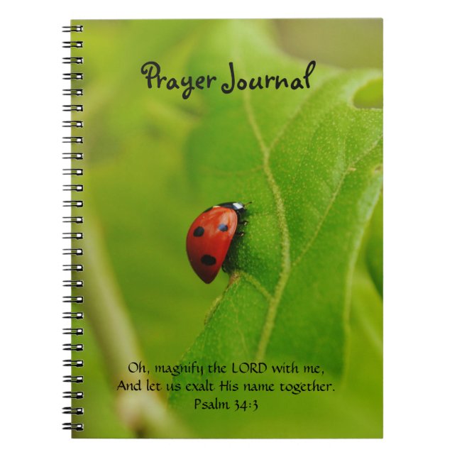 Ladybug sur le Journal de prière de foi Feuille ve (Devant)