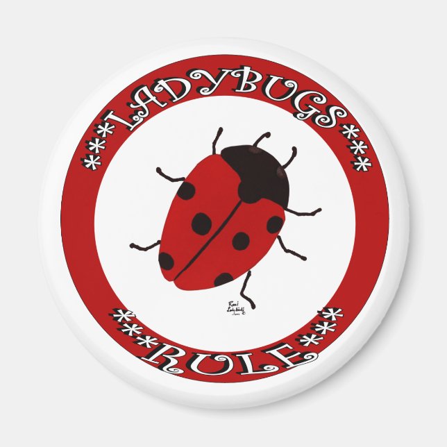 Ladybug-Taste Magnet (Vorne)