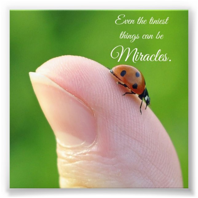 Ladybug Tiny Miracles Quote Square Foto drucken (Vorne)