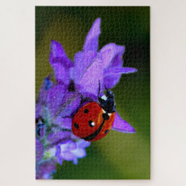 Ladybug über Lavendelpuzzi