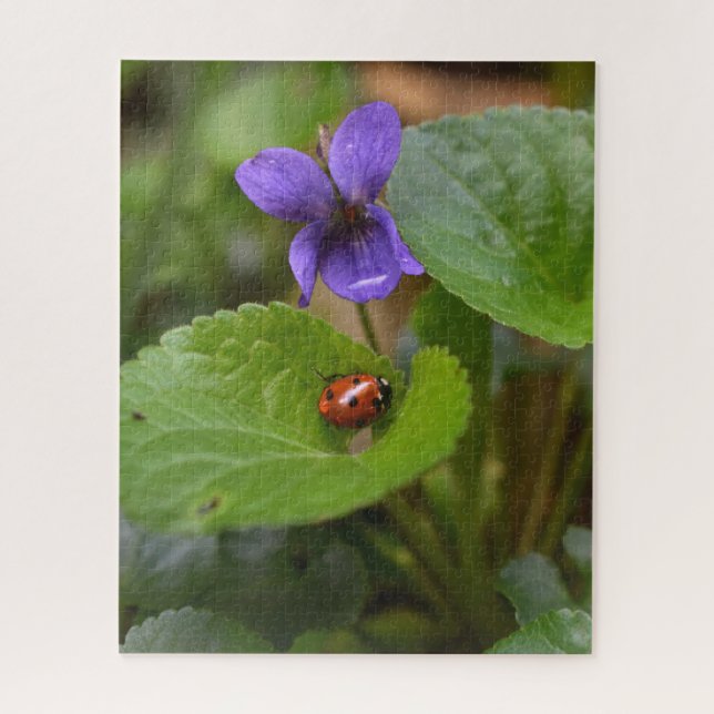 Ladybug über süße Violettsorten-Blume (Vertikal)