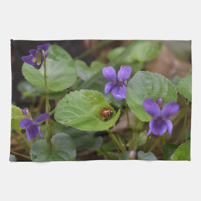 Ladybug über süße Violettsorten-Blume Geschirrtuch (Horizontal)