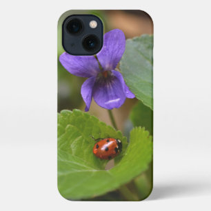Ladybug über süße Violettsorten-Blume iPhone Hülle