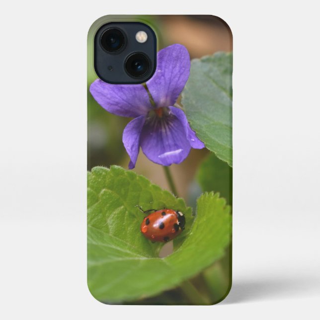 Ladybug über süße Violettsorten-Blume iPhone Hülle (Rückseite)