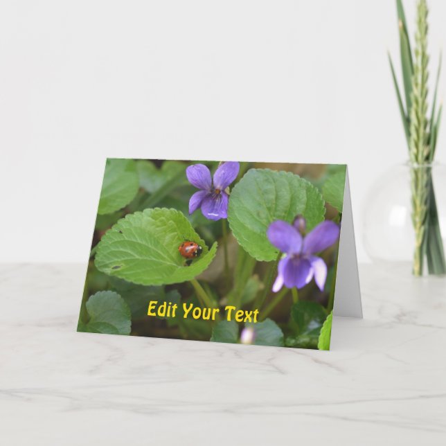 Ladybug über süße Violettsorten-Blume Karte (Vorderseite)