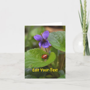 Ladybug über süße Violettsorten-Blume Karte