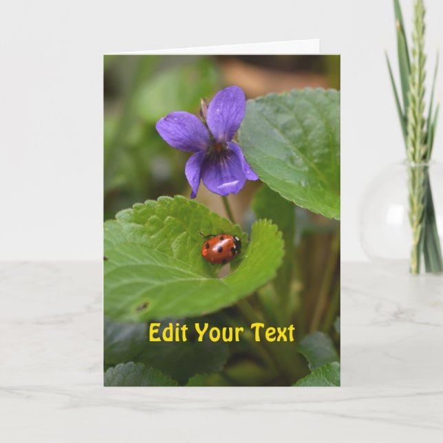 Ladybug über süße Violettsorten-Blume Karte (Vorderseite)