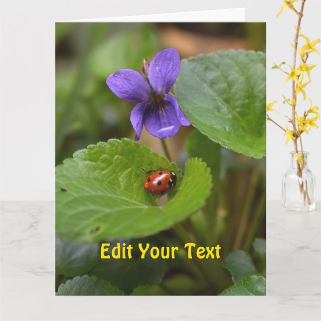 Ladybug über süße Violettsorten-Blume Karte (Gelbe Blume)