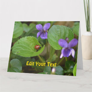 Ladybug über süße Violettsorten-Blume Karte