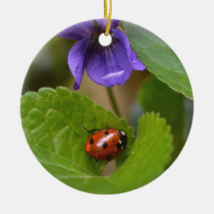 Ladybug über süße Violettsorten-Blume Keramik Ornament