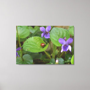 Ladybug über süße Violettsorten-Blume Leinwanddruck
