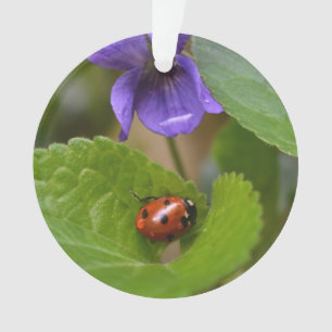 Ladybug über süße Violettsorten-Blume Ornament