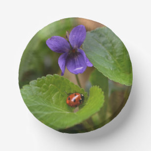 Ladybug über süße Violettsorten-Blume Pappteller