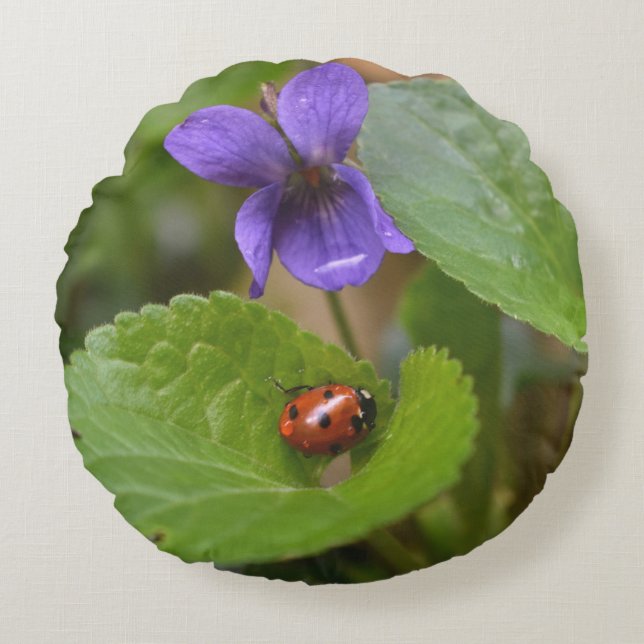 Ladybug über süße Violettsorten-Blume Rundes Kissen (Vorderseite)