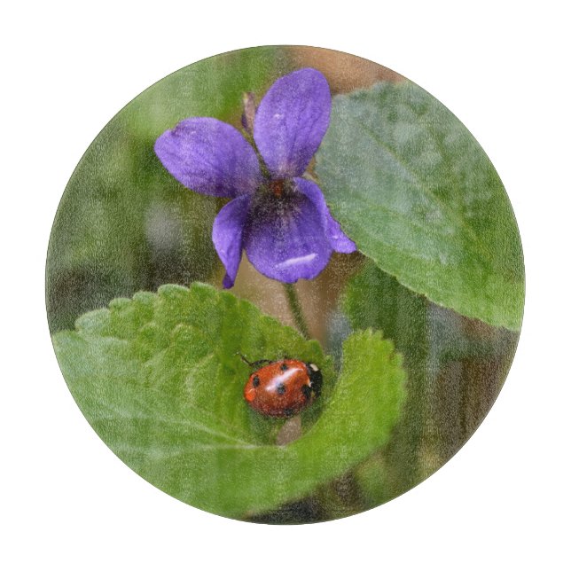 Ladybug über süße Violettsorten-Blume Schneidebrett (Vorderseite)