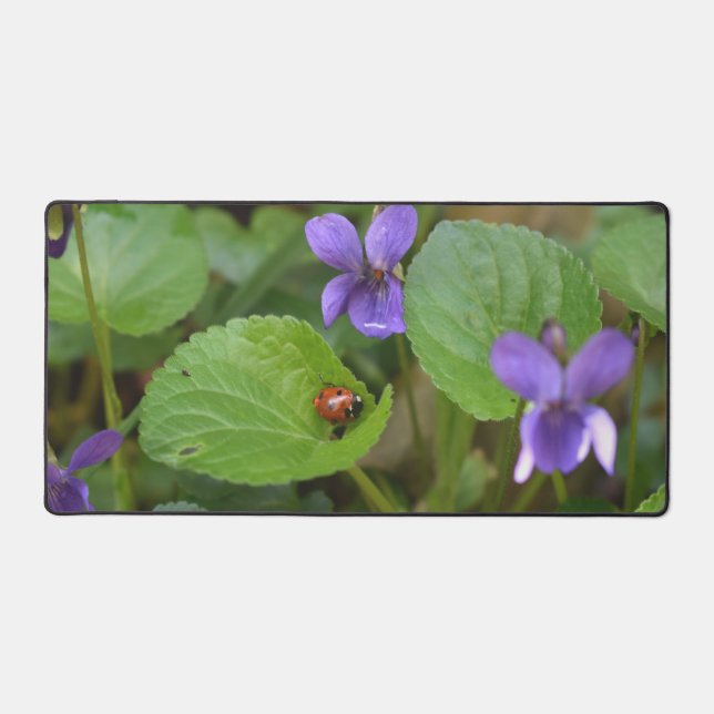Ladybug über süße Violettsorten-Blume Schreibtischunterlage (Vorderseite)