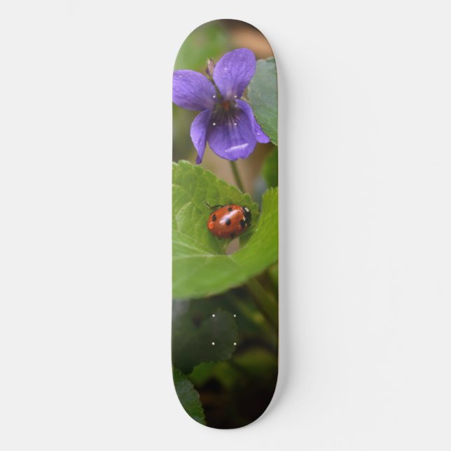 Ladybug über süße Violettsorten-Blume Skateboard (Vorderseite)