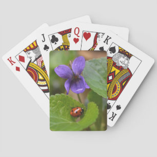 Ladybug über süße Violettsorten-Blume Spielkarten