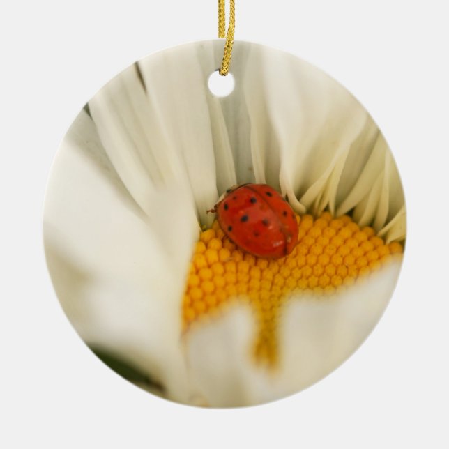 Ladybug und Daisy Ornament (Vorne)