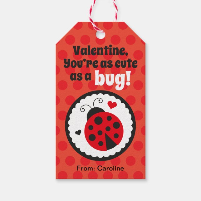 Ladybug Valentine Geschenktafel für Kinder Geschenkanhänger (Vorderseite)