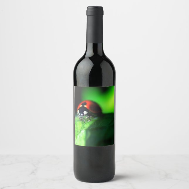 Ladybug Weinetikett (Vorderseite)
