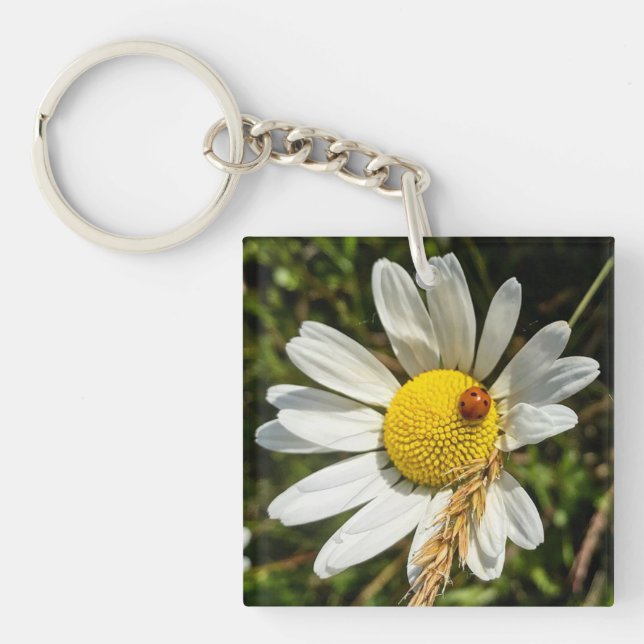 Ladybug zu Daisy Schlüsselanhänger (Vorderseite)