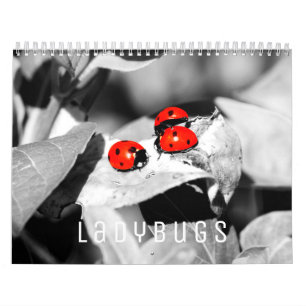 Ladybugs 2022 Wall Calendar Kalender