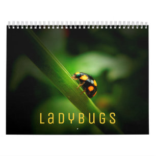 Ladybugs 2022 Wall Calendar Kalender