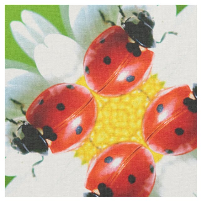 Ladybugs Art. 1 Stoff (Nahaufnahme)