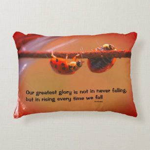 Ladybugs Attitude Inspiration Konfuzius Zitat  Dekokissen