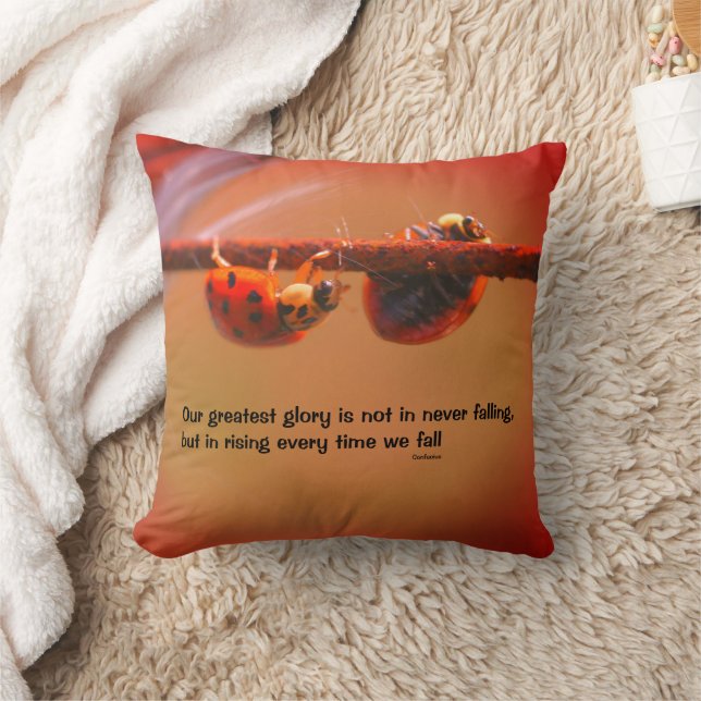 Ladybugs Attitude Inspiration Konfuzius Zitat Kissen (Decke)