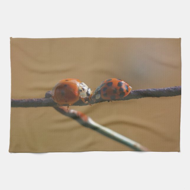 Ladybugs auf einen Drahtzaun zu küssen, Nah Geschirrtuch (Horizontal)
