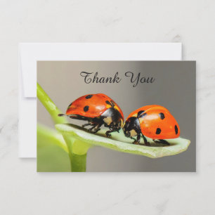 Ladybugs Beetles Carte de remerciements plat