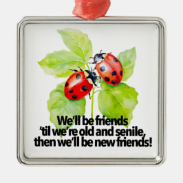 Ladybugs Freundschaft zitieren lustige BESTE FREUN Ornament Aus Metall