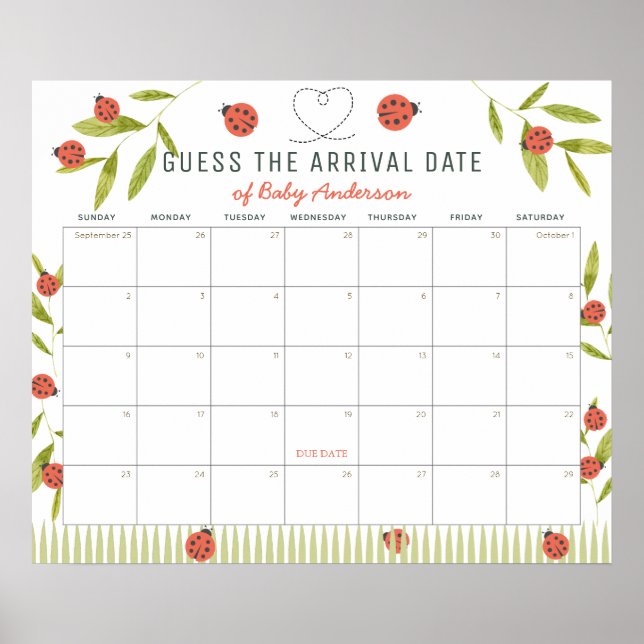 Ladybugs Green Guess The Due Date Calendar Poster (Vorne)