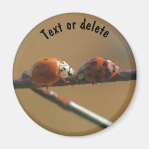 Ladybugs Küssen Natur Personalisiert Magnet