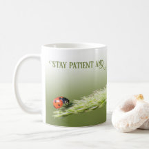 Ladybugs mit motivierend Zitat-positiver Einstellu