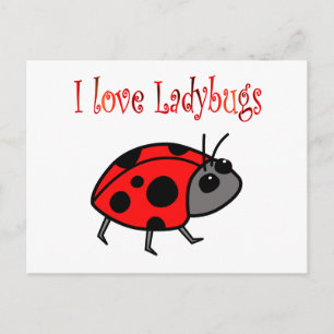 Ladybugs Postkarte