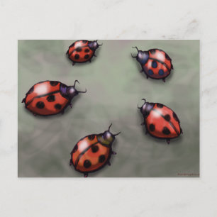 Ladybugs Postkarte