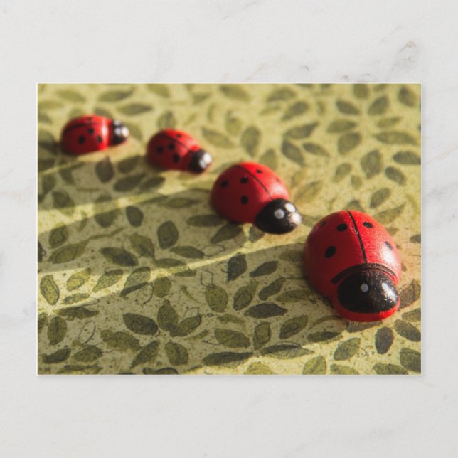 Ladybugs Postkarte (Vorderseite)