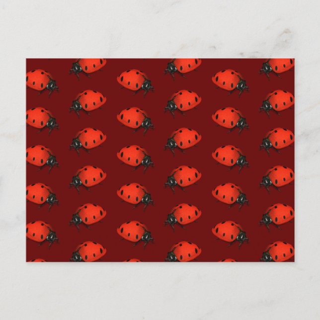 Ladybugs Postkarte (Vorderseite)