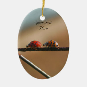 Ladybugs Suivre Leader adorable Nature Ornement