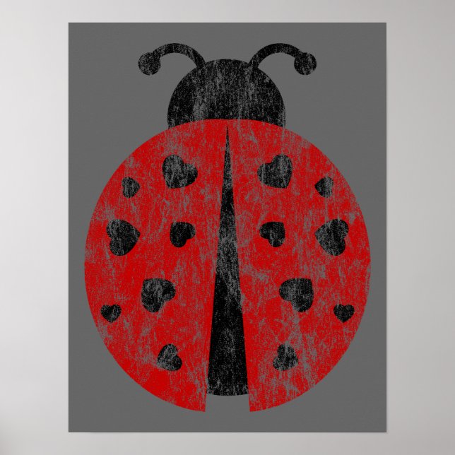 Ladybugz. Poster (Vorne)